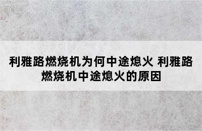 利雅路燃烧机为何中途熄火 利雅路燃烧机中途熄火的原因